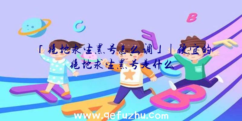 「绝地求生黑号怎么调」|便宜的绝地求生黑号是什么